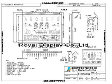 測定の電気/集り/カー ラジオのためのRYD2055BV02注文LCDのパネル