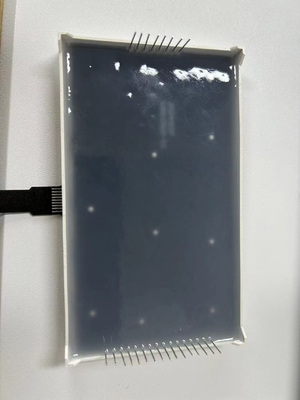 パーソナライズされた 7 段 LED ディスプレイ モノ ホワイト カラー パネル メーター 工業 品質