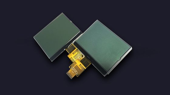 FSTN肯定的なUC1698 LCD 7の区分は160X160コグ写実的なLCDのモジュールを表示する