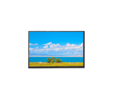 15.6'' 1920*1080 RGB ティアンマ オールビュー OLED 高コントラスト Lvds LCD モジュール